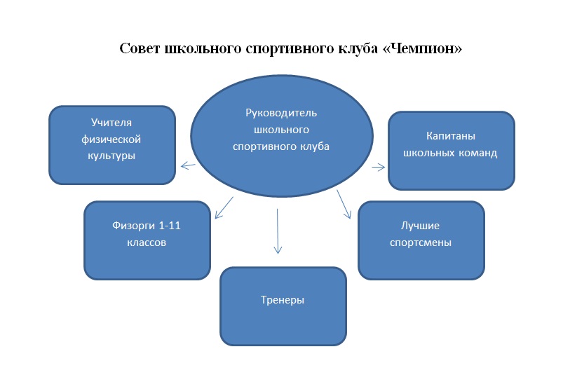 Совет школьного спортивного клуба Чемпион.